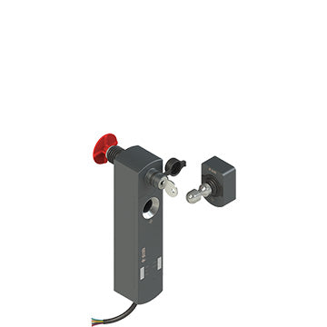 Pizzato NS D4SE1SA1-F41