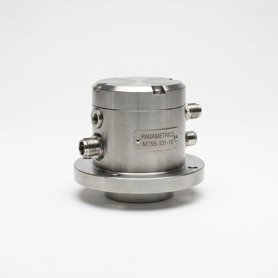 Panametrics MTS5-331-10