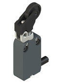 Pizzato NF G110CV-DN2
