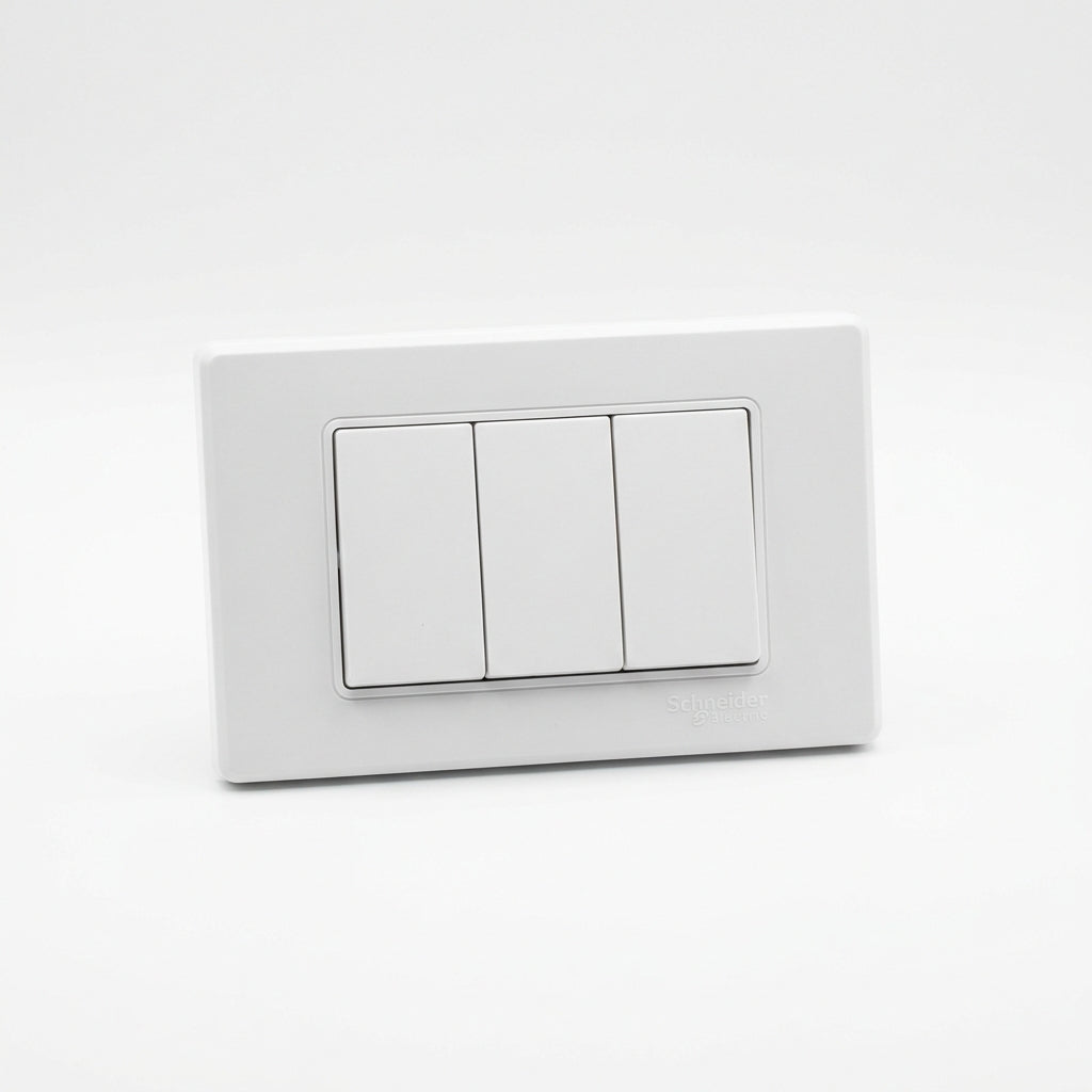 Schneider Electric E84036