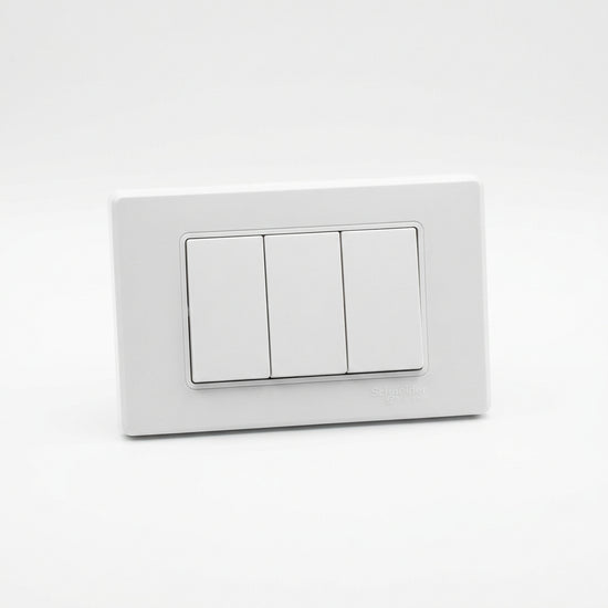 Schneider Electric E84036