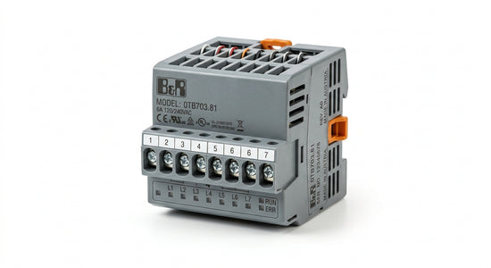 B&R 0TB703.81