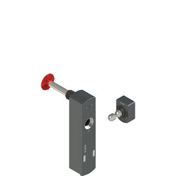 Pizzato NS D3CE1SMK-F41LP60