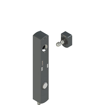 Pizzato NS D3AZ1SRK-F40N111