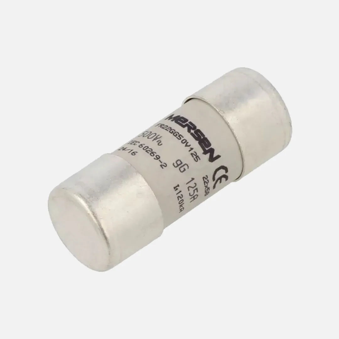 18465-G/H218208 Fusible cilíndrico gG Tamaño 22×58 IEC 690 VCA 125A Ferraz